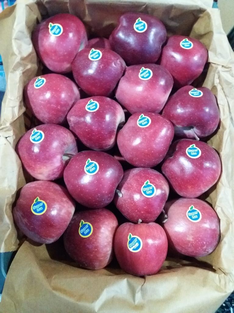 سیب صادراتی نقده
